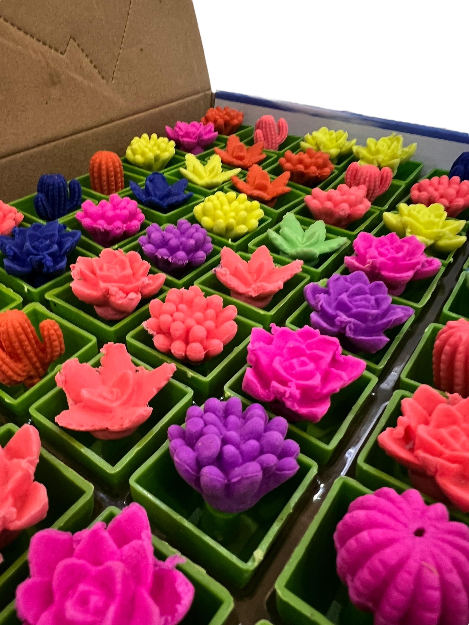 882518FA-95E1-4569-9993-7E6F5D06DBA4